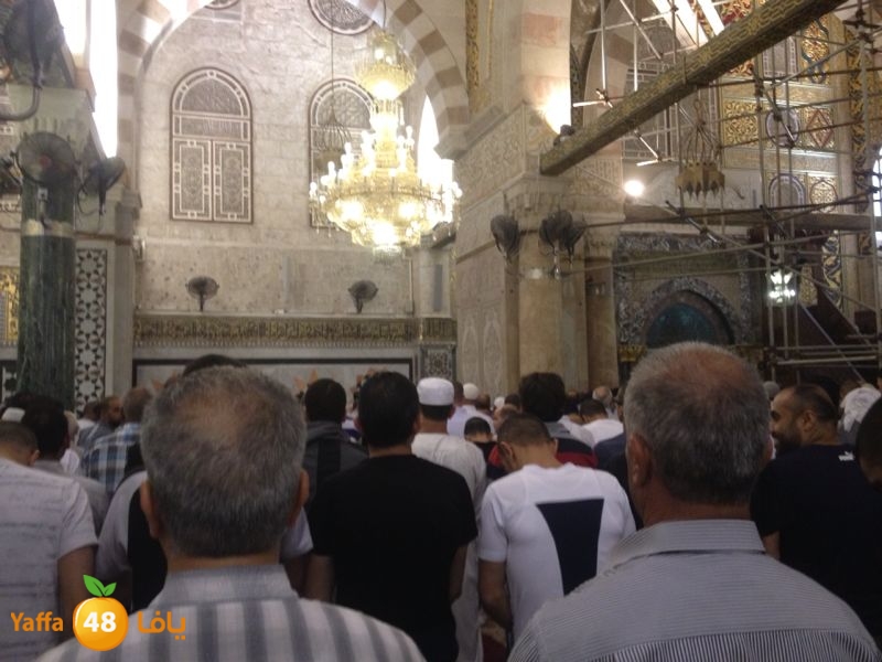 ramla shabafas (5).JPG